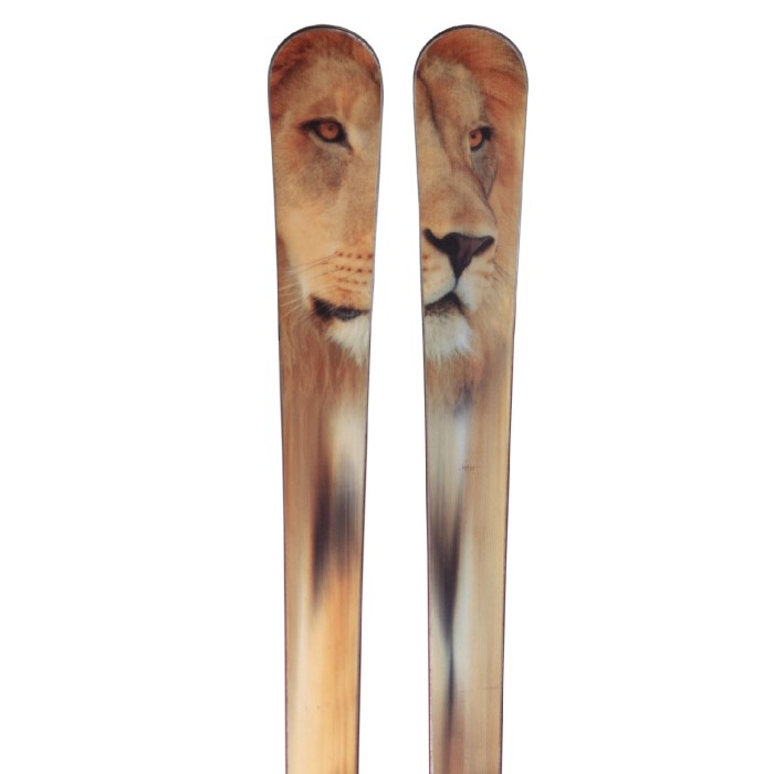 Ski Special Edition + bindings - Quality A