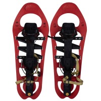 Snowshoe Folly's