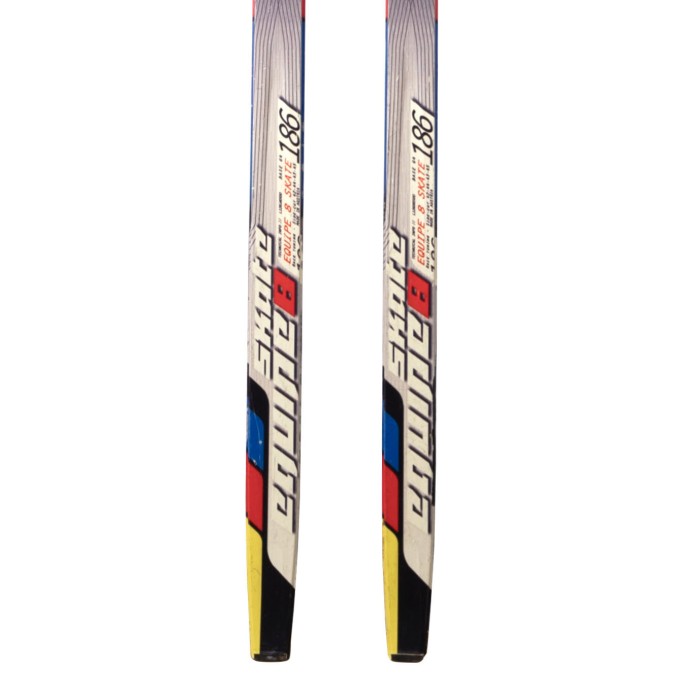 Cross-country ski Salomon Equipe 8 Skate + Prolink binding - Quality A