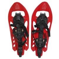 Snowshoe Inook RXM